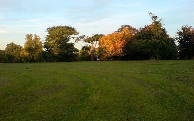 Hardwick Heath Dog walk in Suffolk
