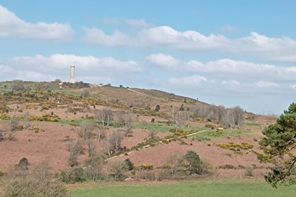 Hardy Monument, Dorsetphoto