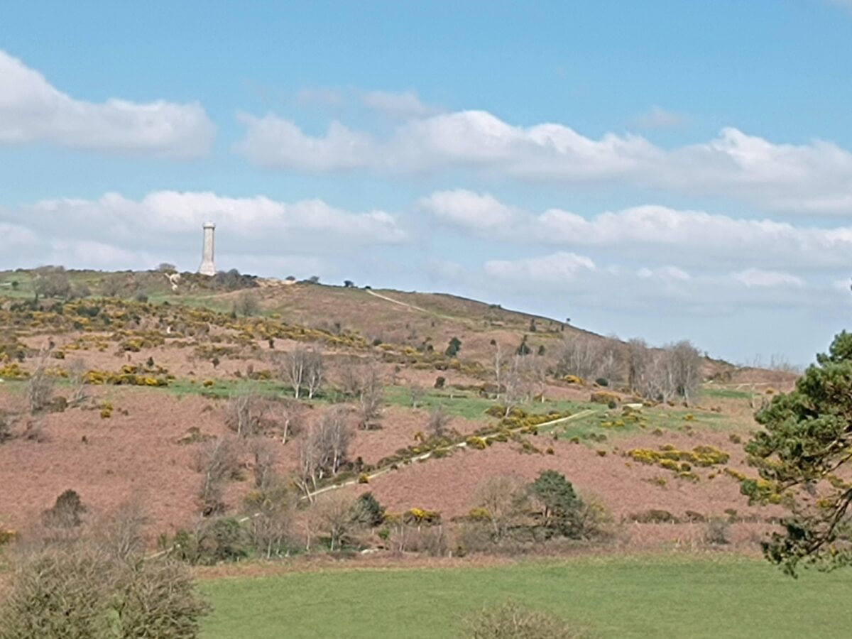 Hardy Monument, Dorset large photo 1