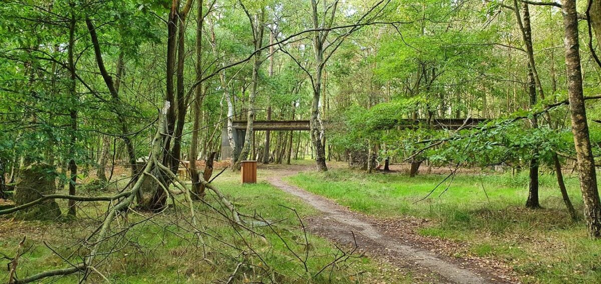 Hartland Country Park large photo 7