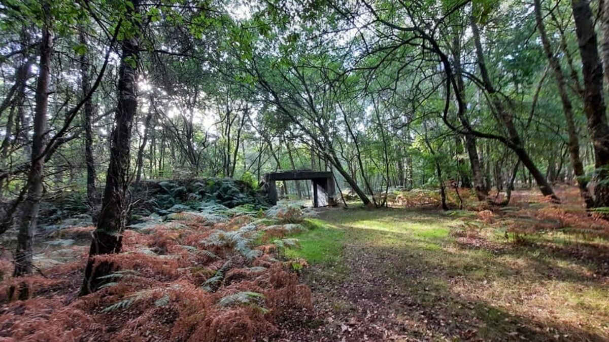 Hartland Country Park large photo 8