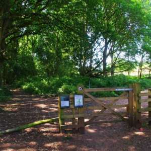 Hartlebury Common