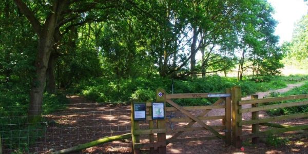 Hartlebury Common