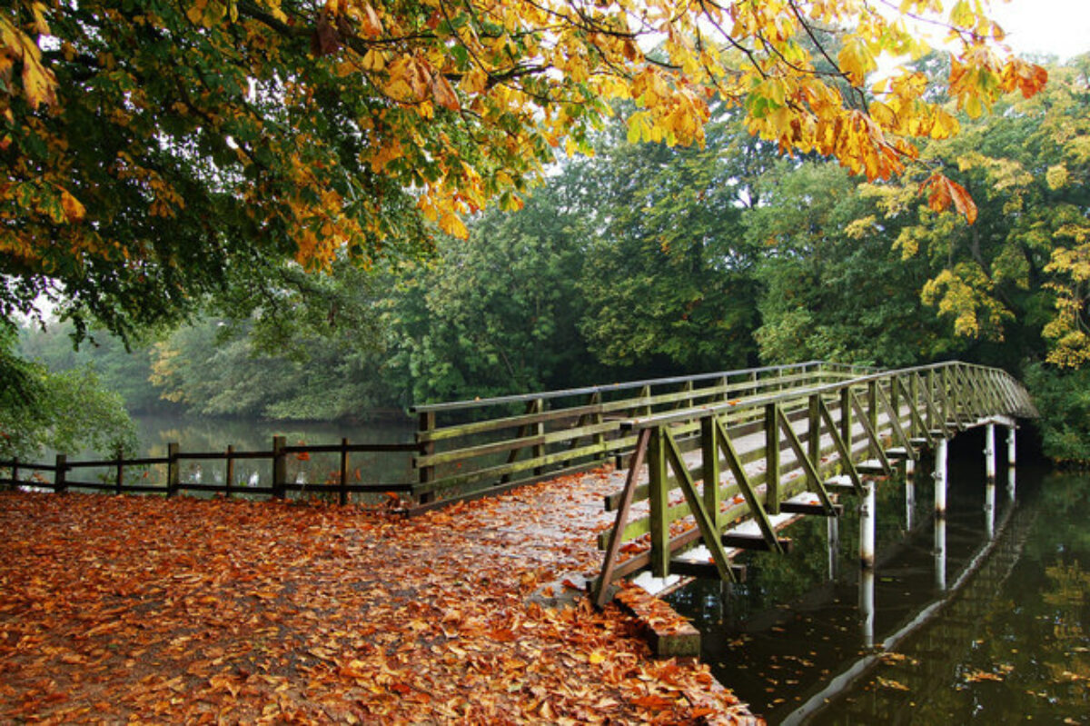 Hartsholme Park large photo 1