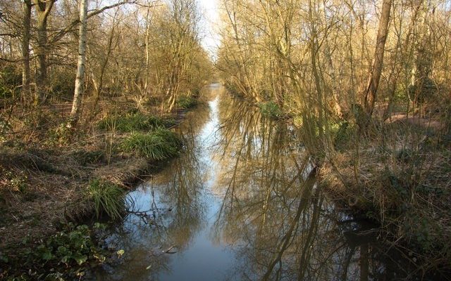 Hartsholme Park Dog walk in Lincolnshire
