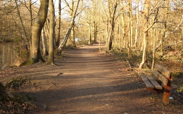 Hartsholme Park Dog walk in Lincolnshire