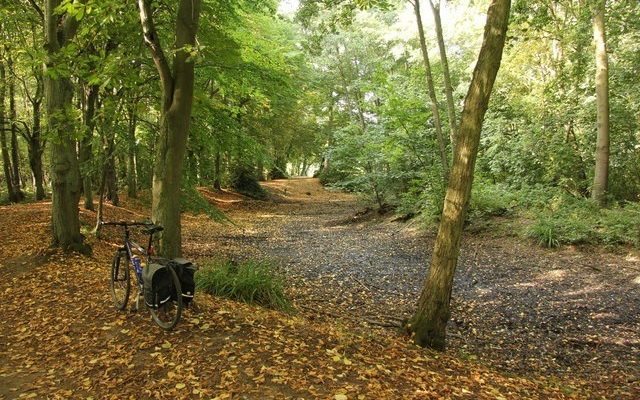 Hartsholme Park Dog walk in Lincolnshire