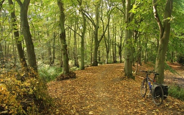 Hartsholme Park Dog walk in Lincolnshire