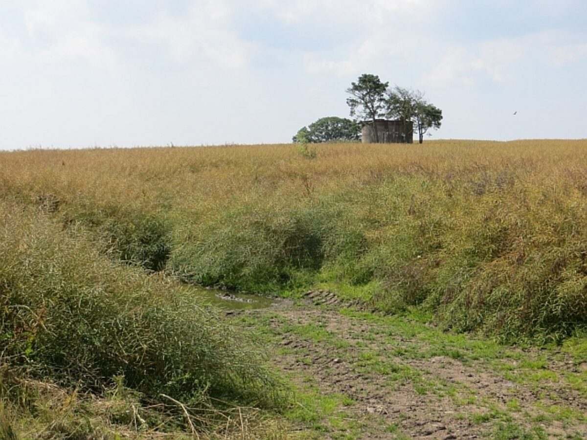 Haughmond Hill large photo 4