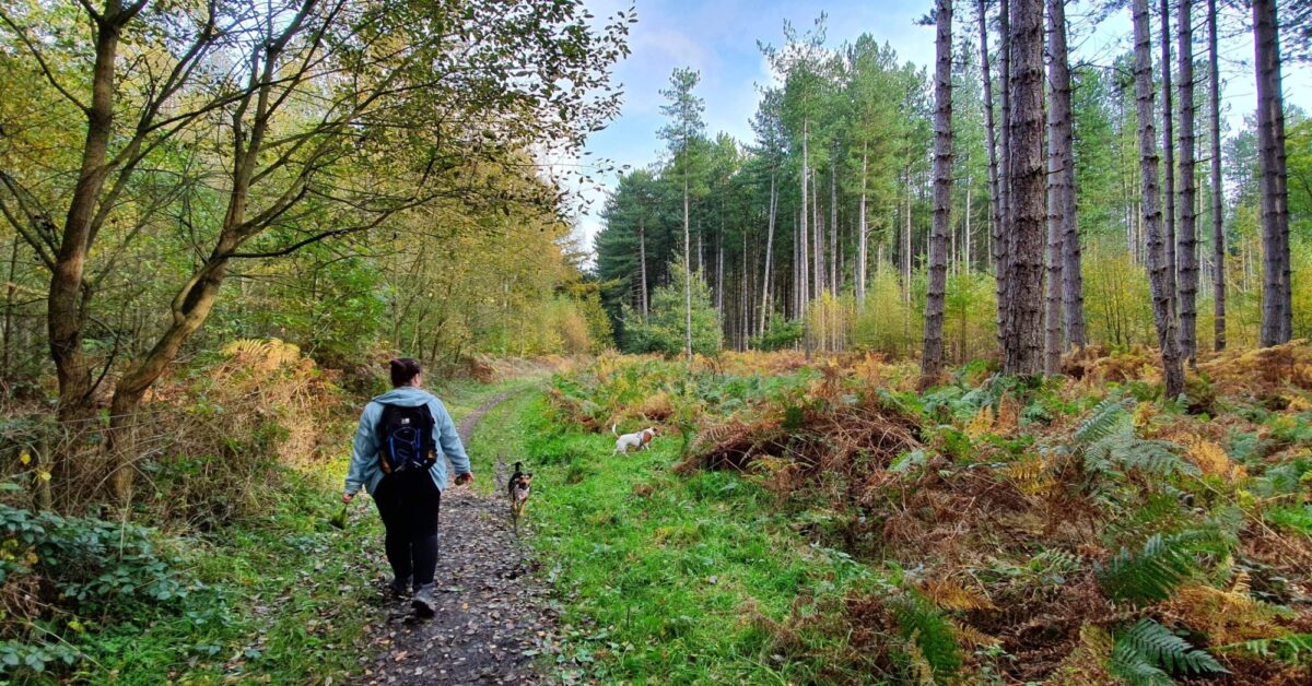 Haw Park Wood large photo 1