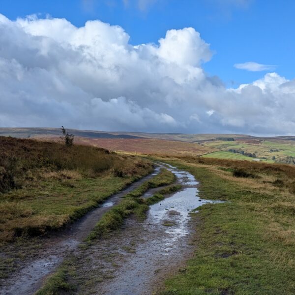 Haworth photo 2