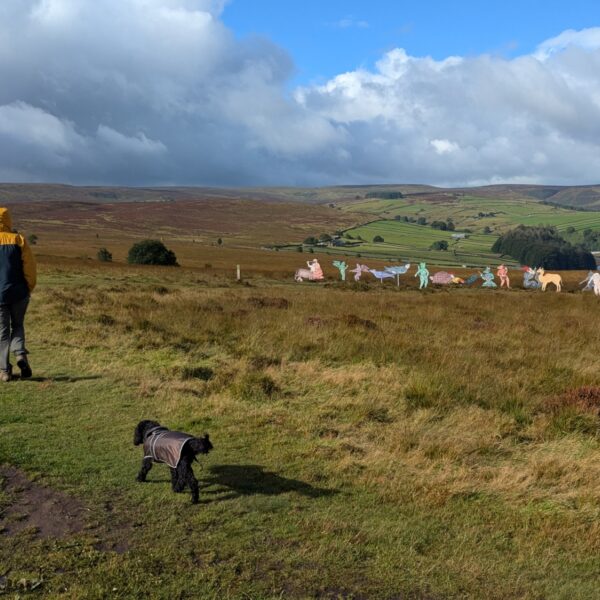 Haworth photo 3