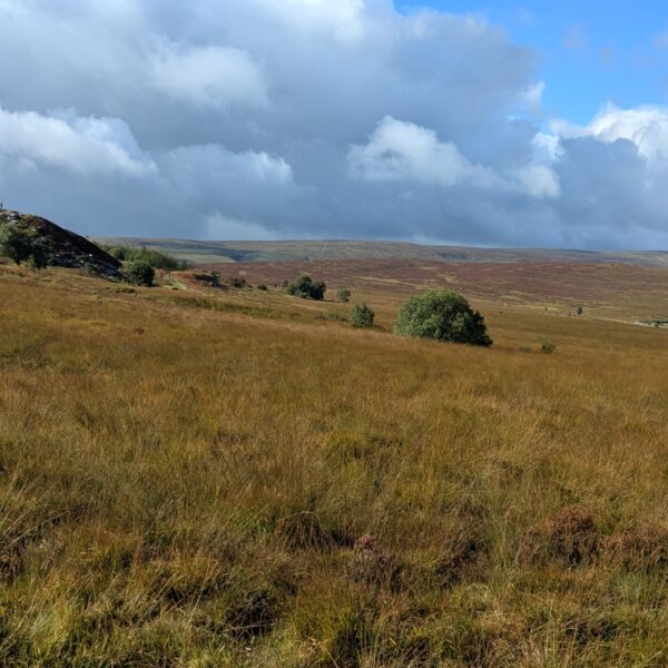 Haworth photo 4