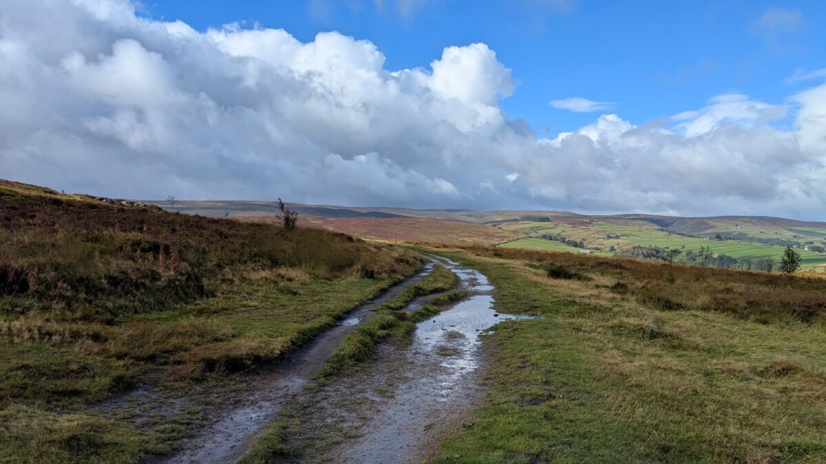 Haworth large photo 2