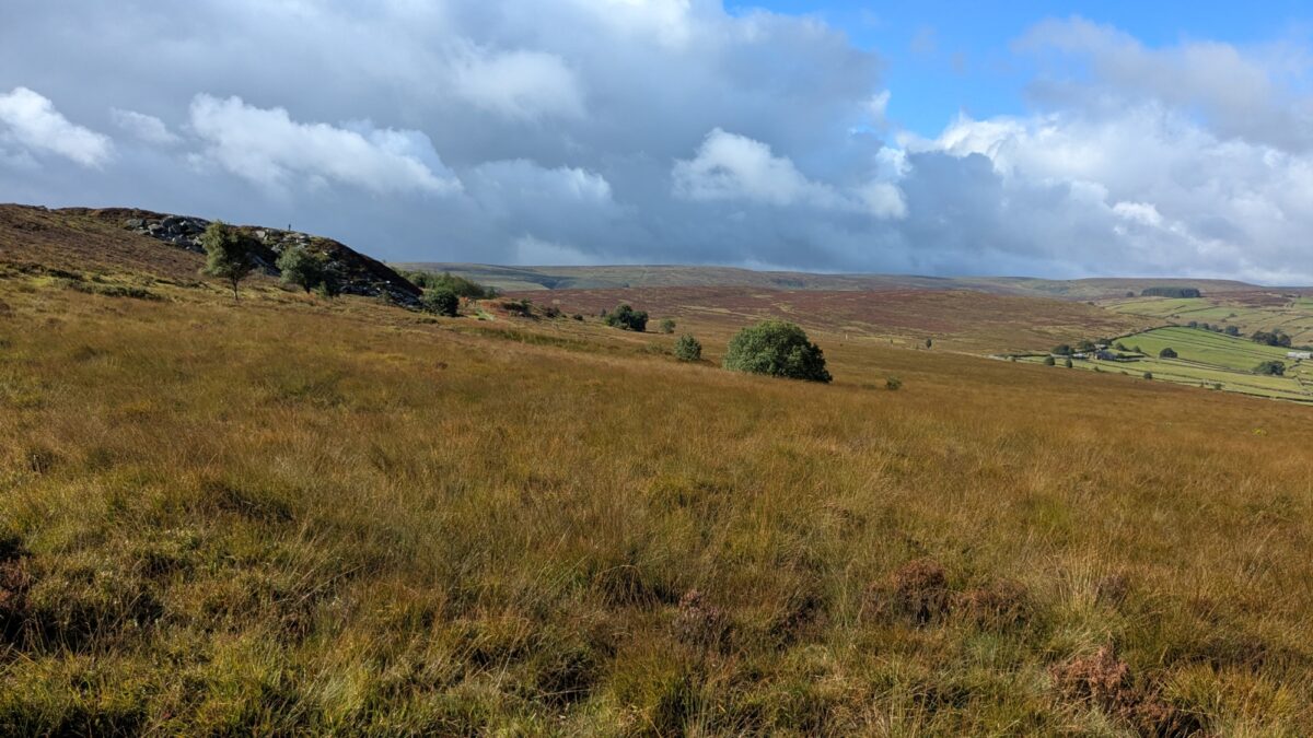 Haworth large photo 4