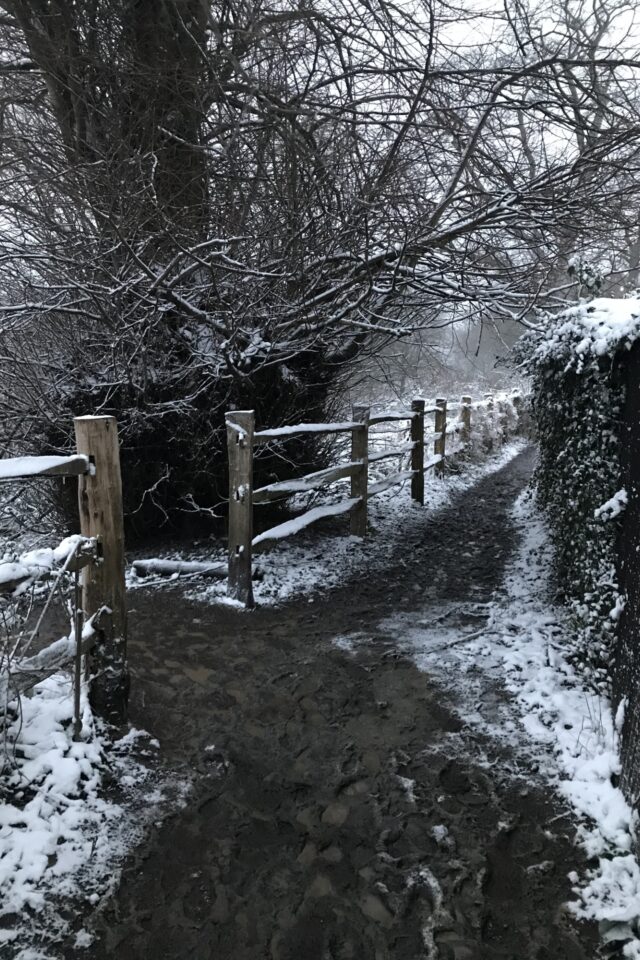 Dog walk at Hayle park nature reserve · Kent · Walkiees