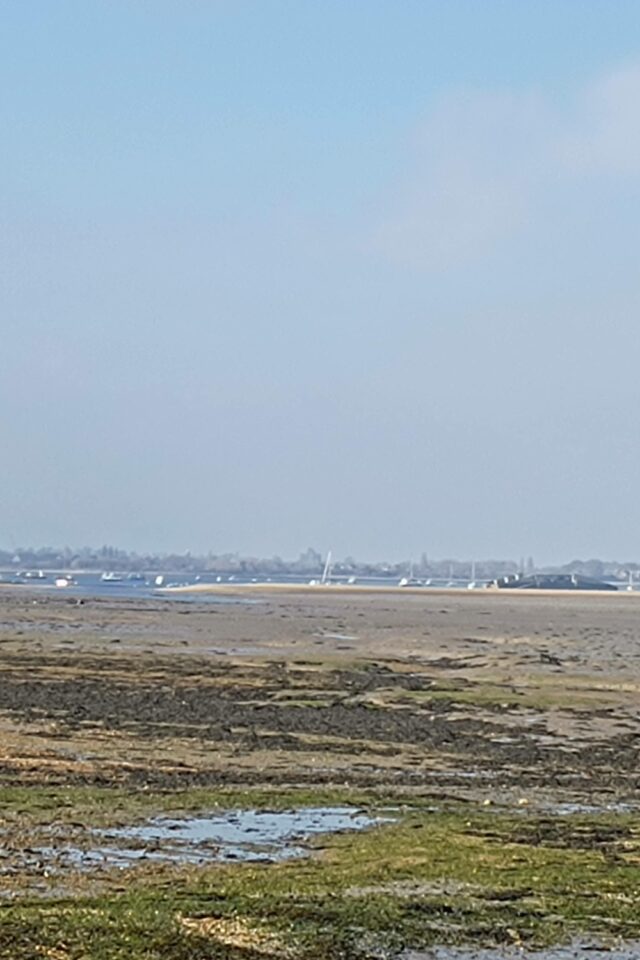 Dog walk at Hayling Island Hayling Billy · Hampshire · Walkiees