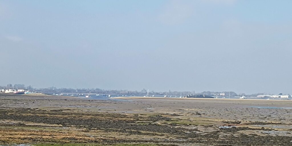 Dog walk at Hayling Island Hayling Billy · Hampshire · Walkiees