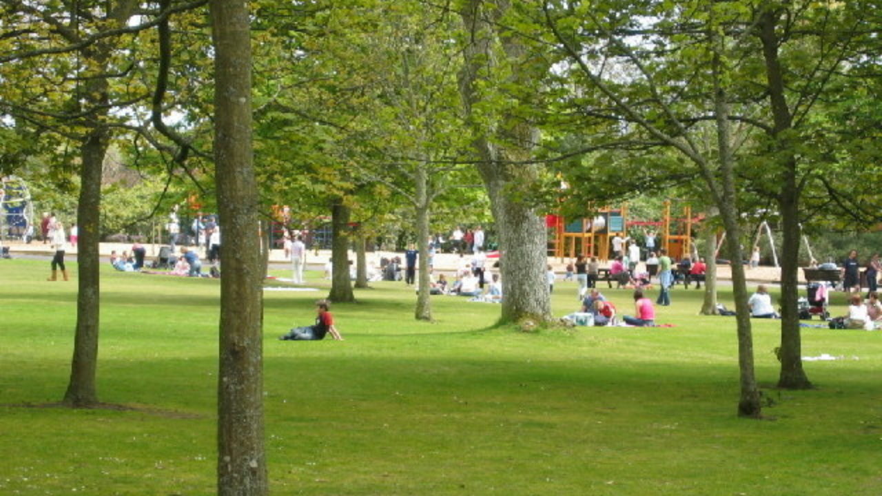 Dog walks in Aberdeenshire · Walkiees