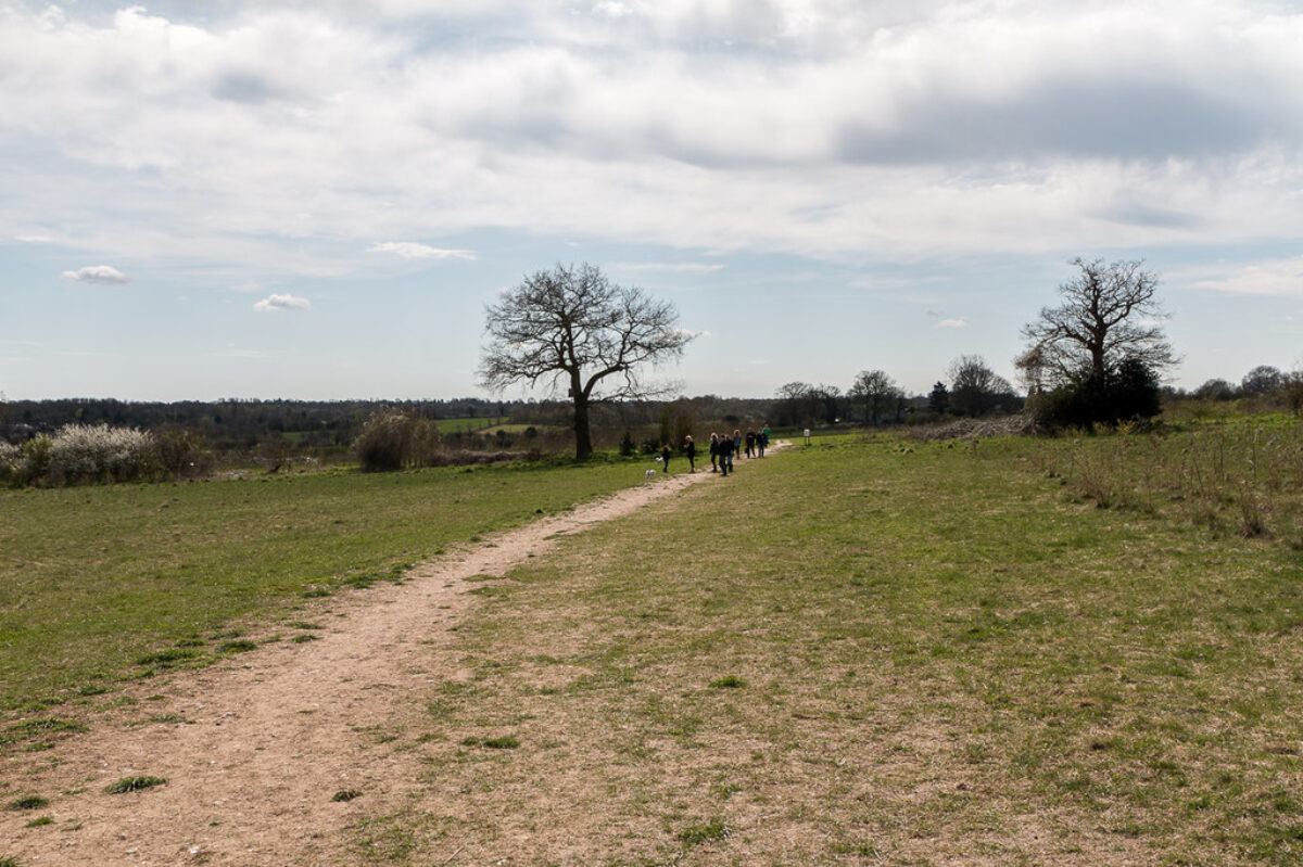 Heartwood Forest, Sandridge large photo 3