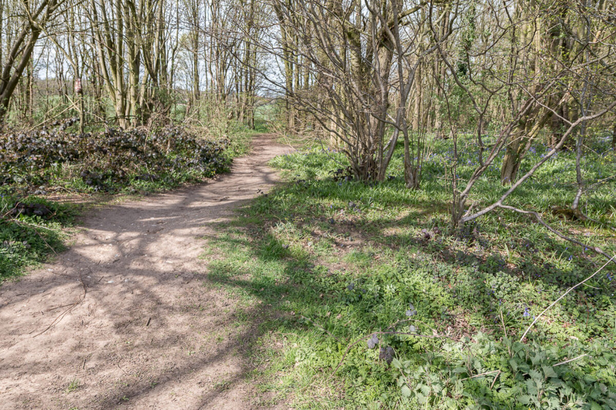 heartwood albans walks walkiees sandridge