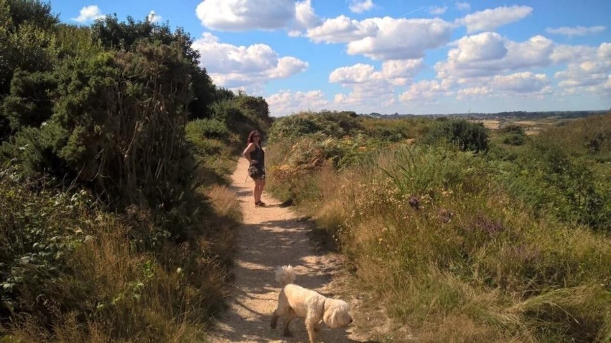 Hengistbury Head large photo 4