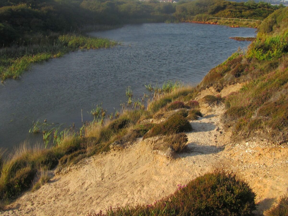 Hengistbury Head large photo 3