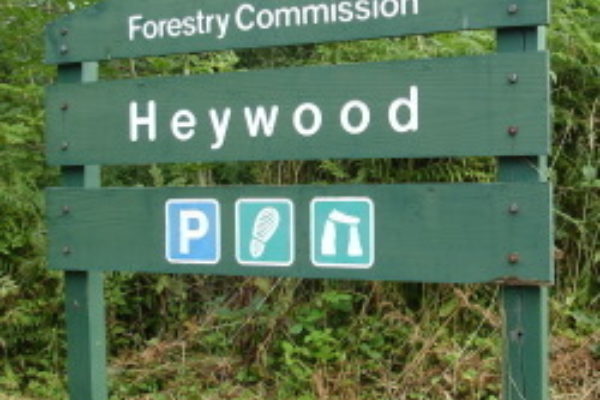 Heywood Woodsphoto