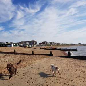 Hill Head to Lee on Solent
