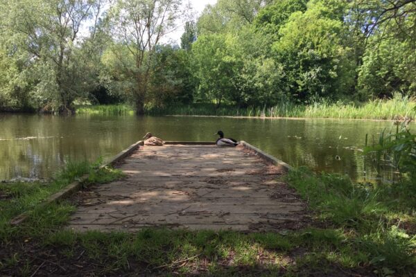 Hinchingbrooke Country Parkphoto