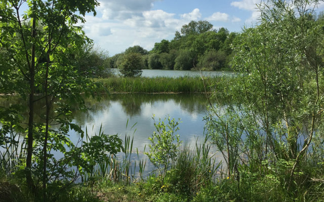 Hinchingbrooke Country Park Dog walk in Huntingdonshire