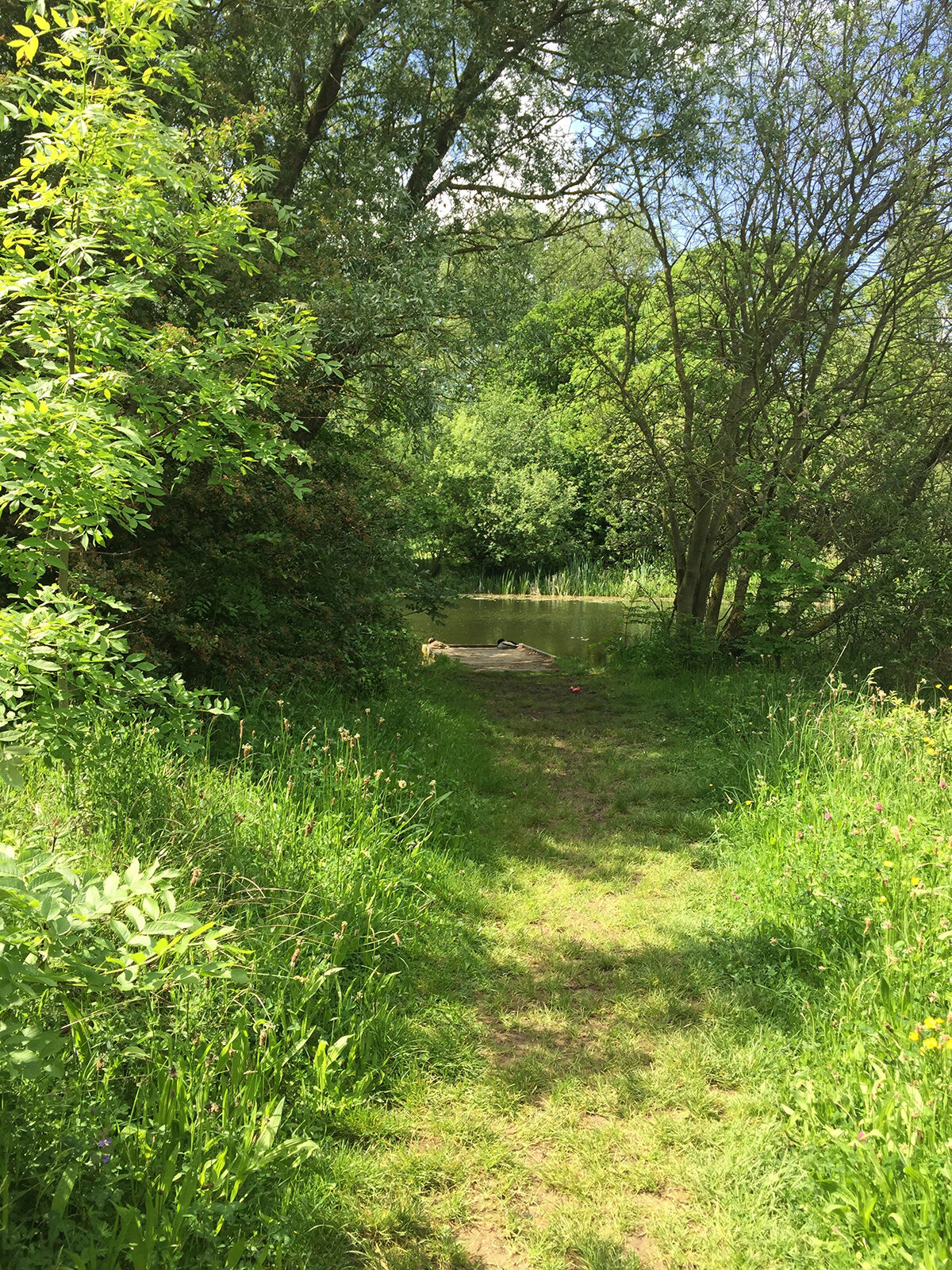 Hinchingbrooke Country Park large photo 3