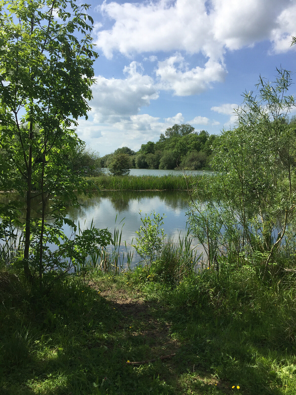 Hinchingbrooke Country Park large photo 4