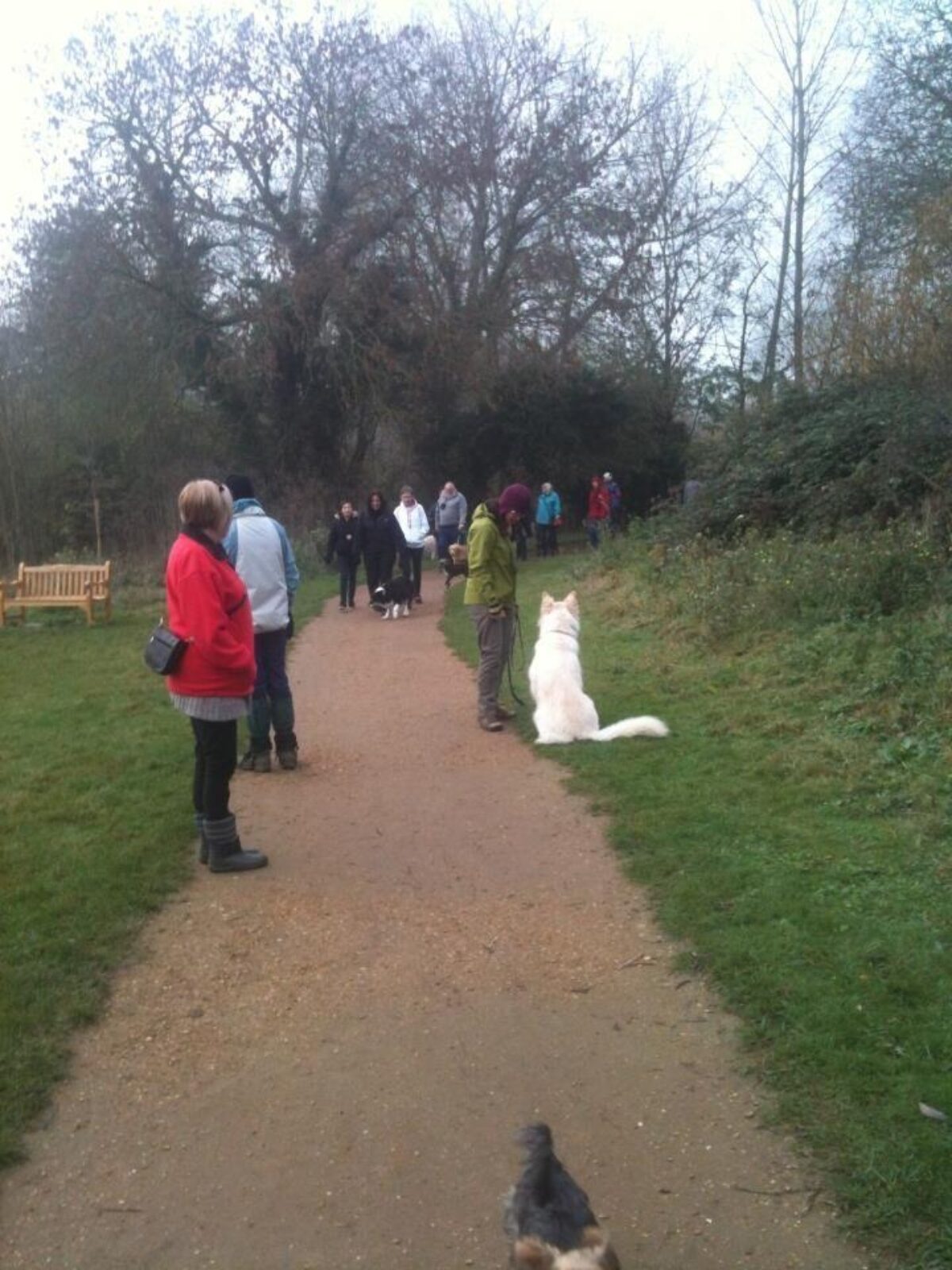 Hinchingbrooke Country Park large photo 3