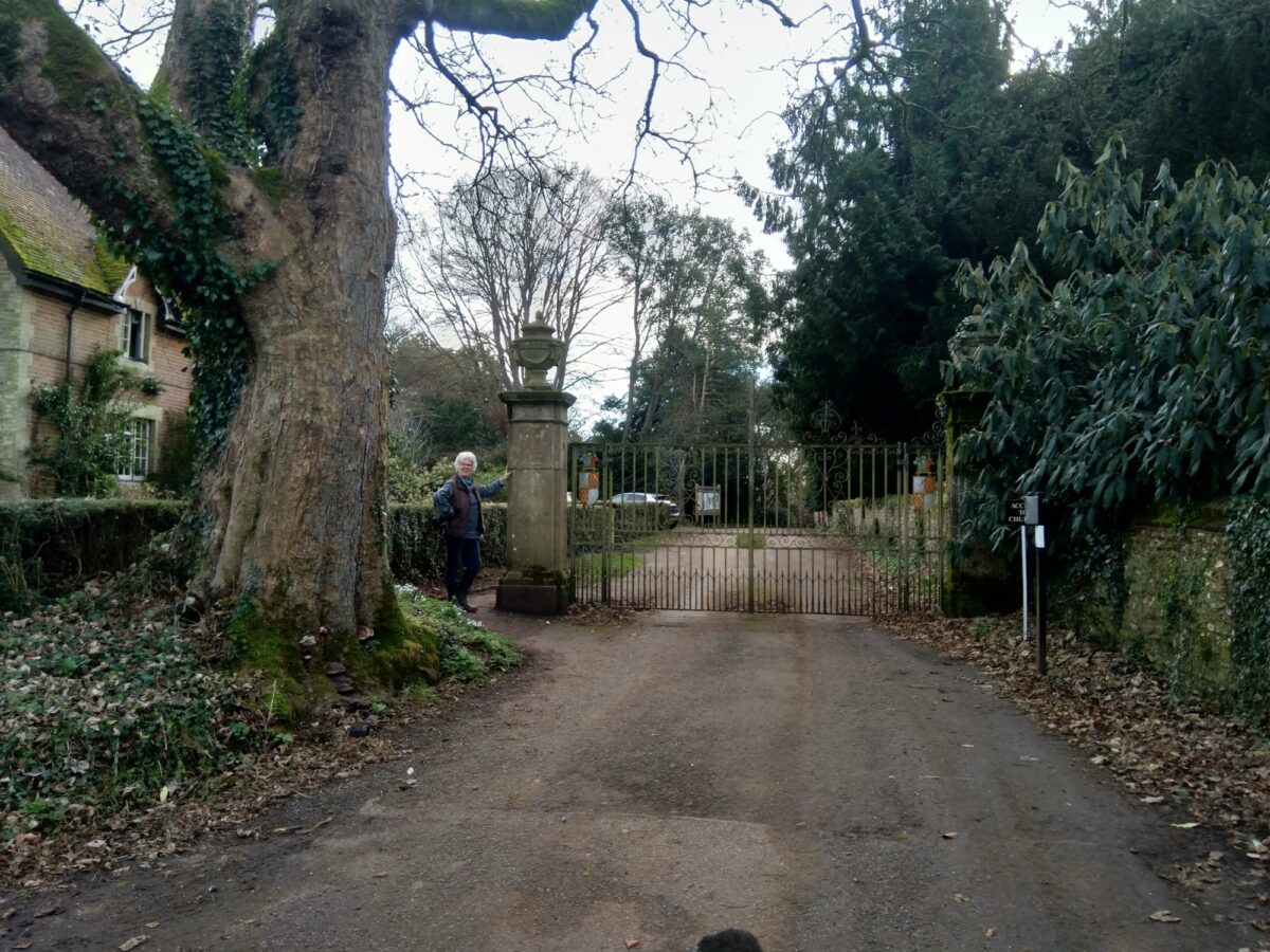 Hinton Ampner - Cheriton large photo 5