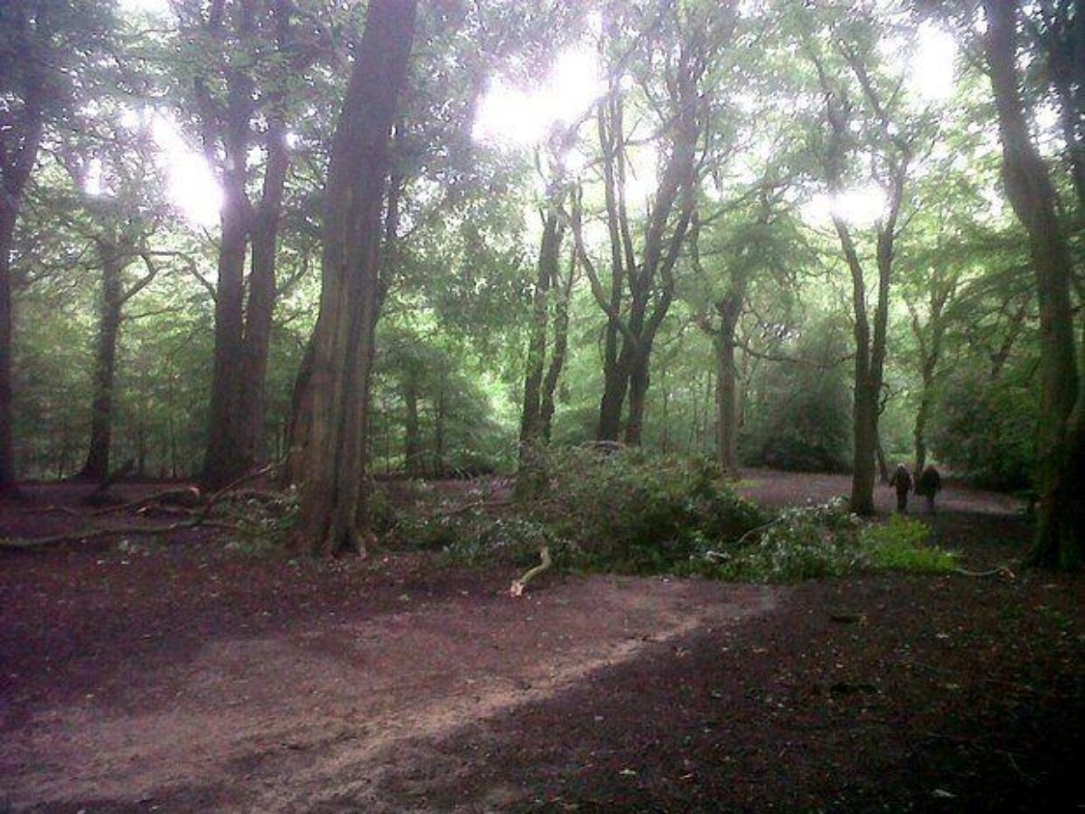 Hirst Wood, Bingley large photo 1