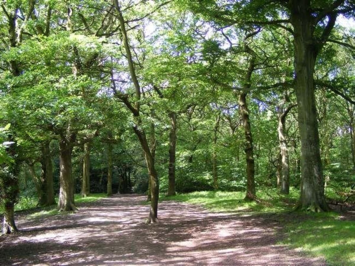 Hirst Wood, Bingley large photo 3