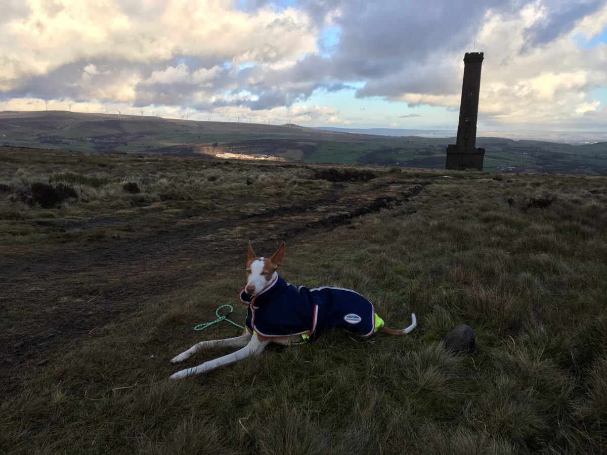 Holcombe Hill, Lancashire large photo 6