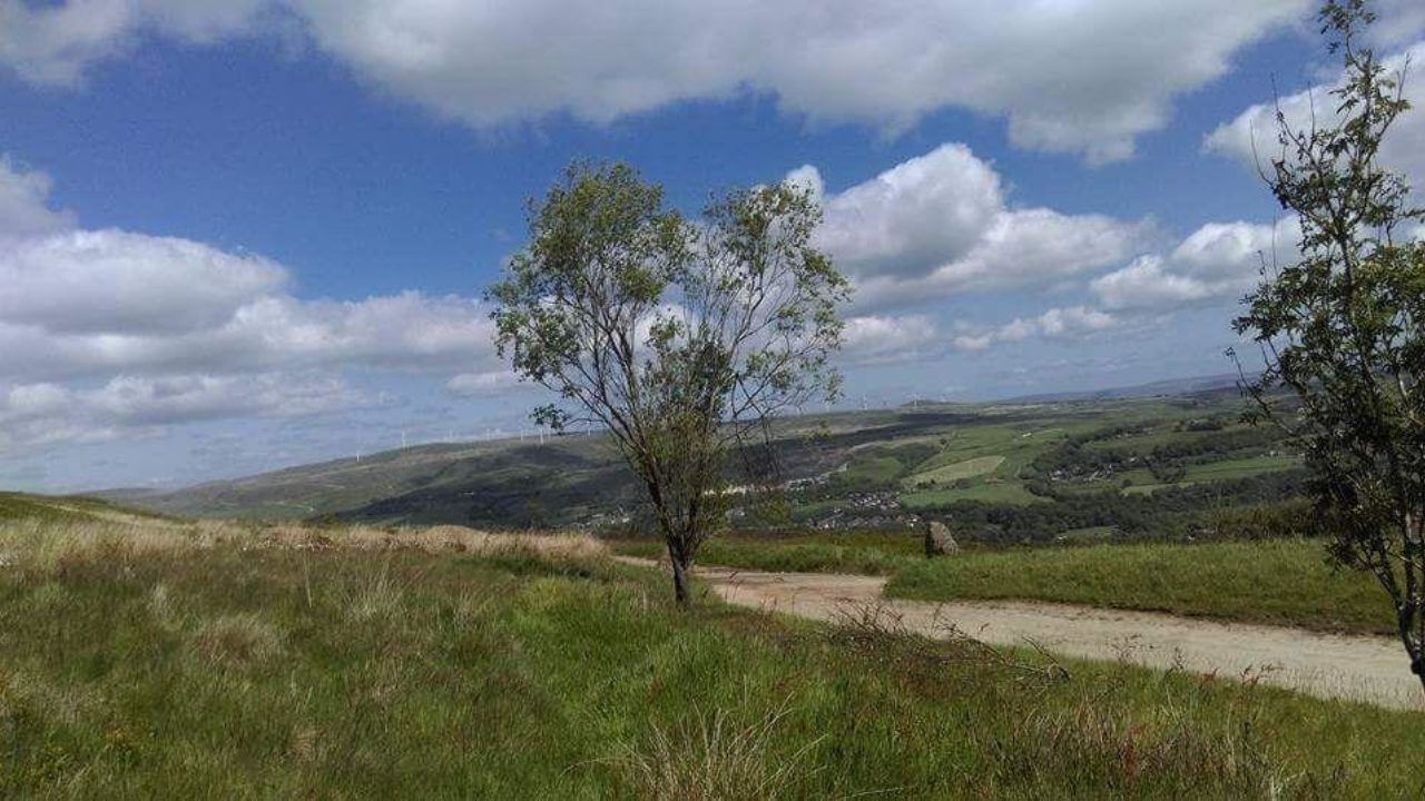 Dog walks in Cumbria · Walkiees