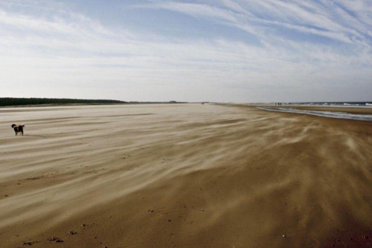 Holkham Beach, North Norfolk large photo 5