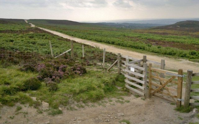 Houndkirk Road Dog walk in Yorkshire (South)