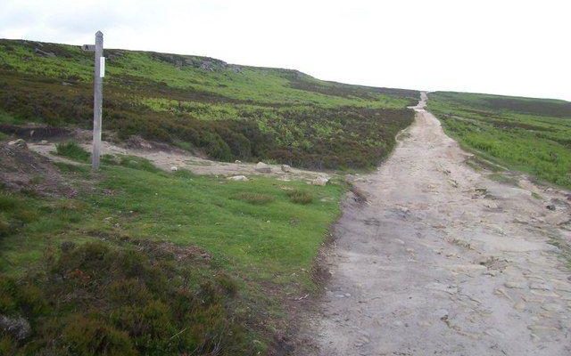 Houndkirk Road Dog walk in Yorkshire (South)