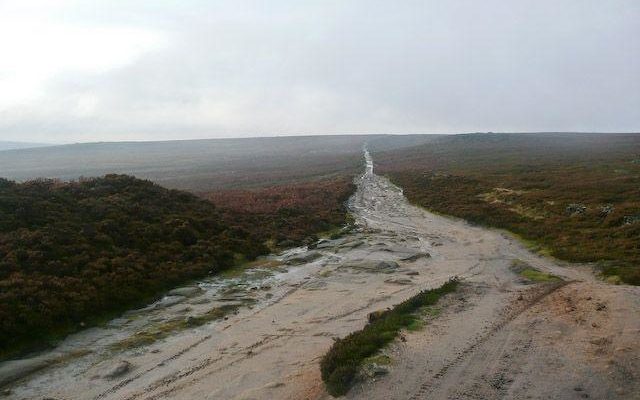Houndkirk Road Dog walk in Yorkshire (South)