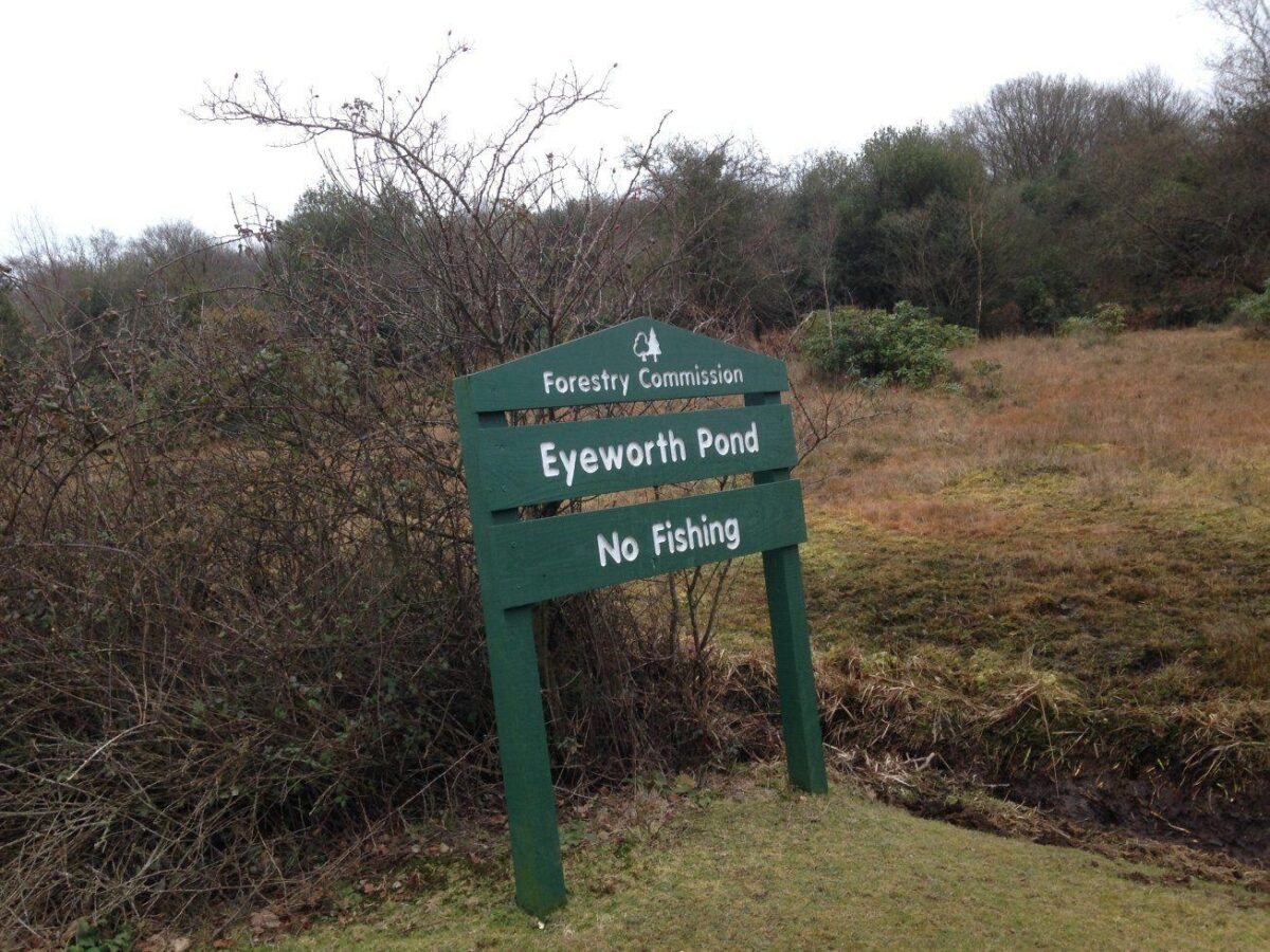 Howen Bottom & Eyeworth Pond large photo 1