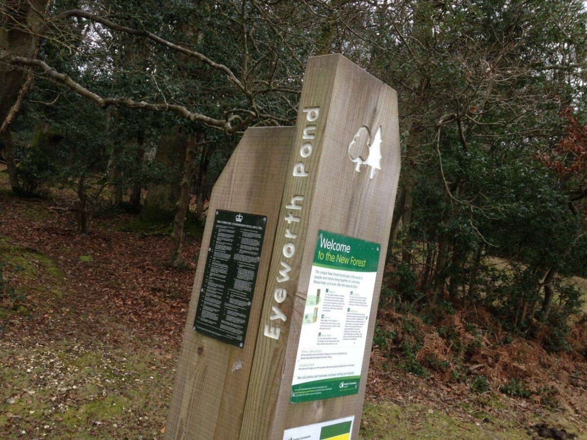 Howen Bottom & Eyeworth Pond large photo 3