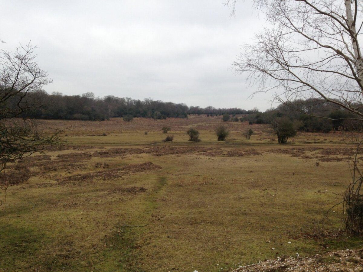 Howen Bottom & Eyeworth Pond large photo 7