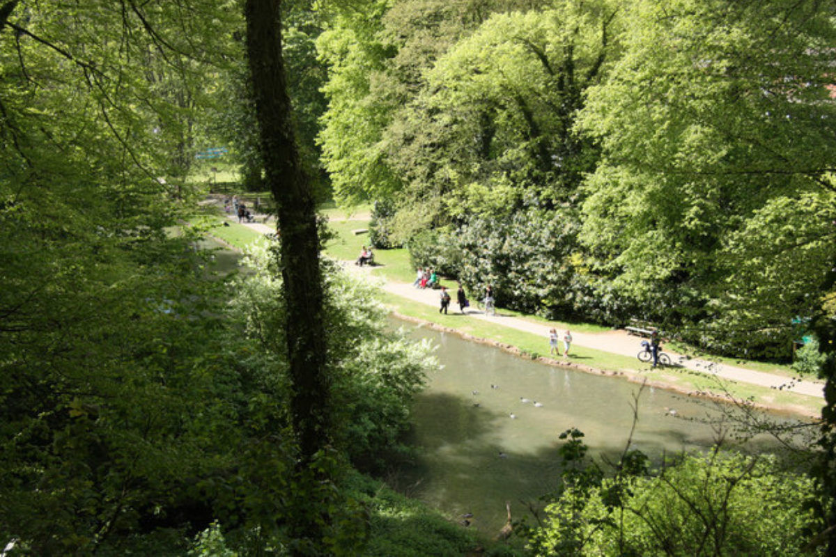 Dog walk at Hubbards Hills · Lincolnshire · Walkiees