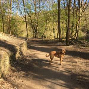 Humber bridge nature reserve