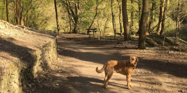 Humber bridge nature reserve
