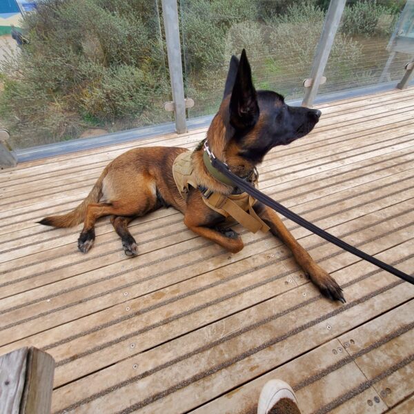 Huttoft Beach photo 2